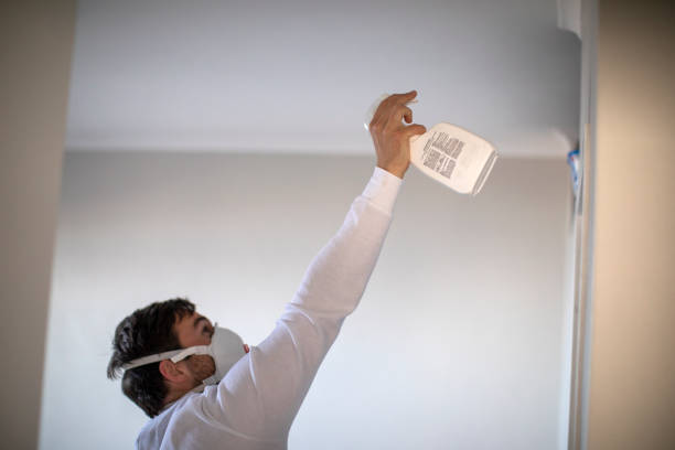 Best Mold Removal Process  in Fort Defiance, AZ